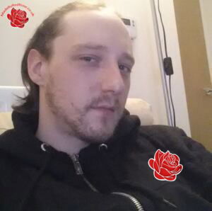 Profile image of Ian Walsh