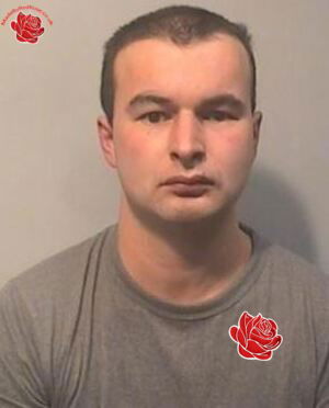 Profile image of Daniel Chapman