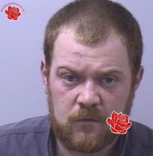 Profile image of Ashley Orsborn