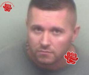 Profile image of Ian Wardley