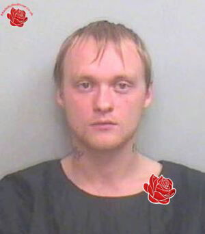 Profile image of Stephen Partridge