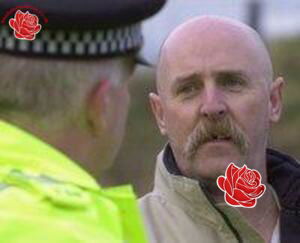 Profile image of Andrew Finn