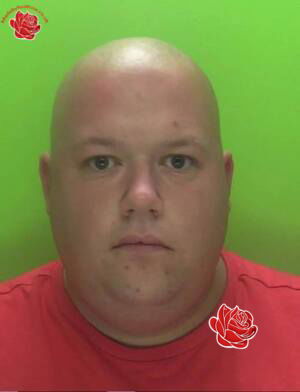 Profile image of Nathan Bray