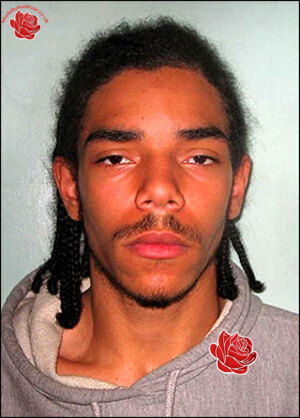 Profile image of Mark King
