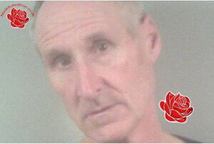 Profile image of Michael Wiles