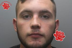 Profile image of Luke Patten