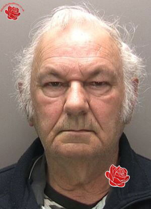 Profile image of David Edwards