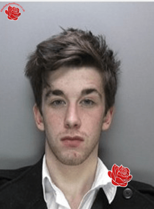 Profile image of Matthew Berry
