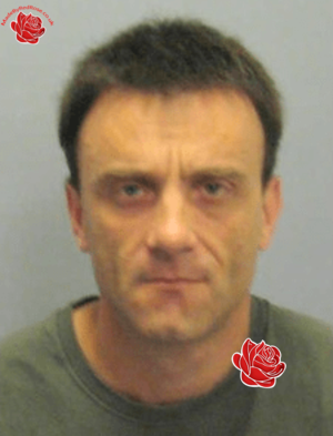 Profile image of Gareth Clements
