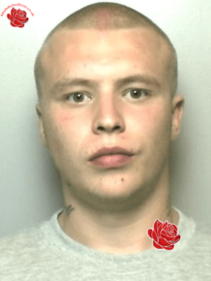 Profile image of Scott Gibbons