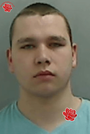 Profile image of Shaun Seaman