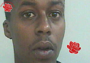 Profile image of Ismail Uradde
