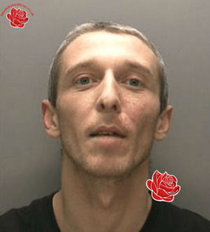 Profile image of Dwayne Arnold