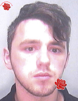 Profile image of Lee Halpin