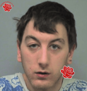 Profile image of Brian Strotten