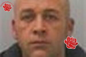 Profile image of Shaun Everiss
