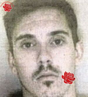Profile image of Paul Davies