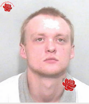 Profile image of Steven Partridge