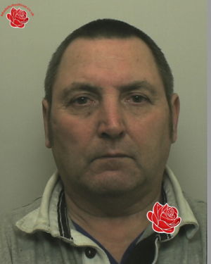 Profile image of Stephen Taylor