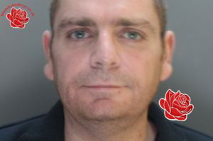 Profile image of Mark Edwards