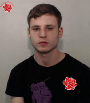 Profile image of Patrick Tamas
