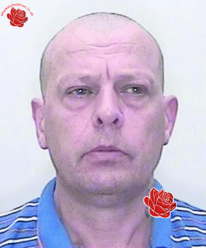 Profile image of Steven Bays