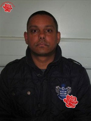 Profile image of Andrew Faulds