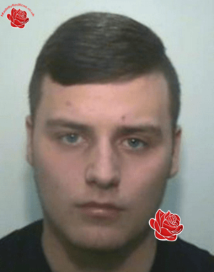 Profile image of Mark Cox