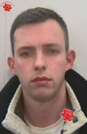 Profile image of Patrick Tuite