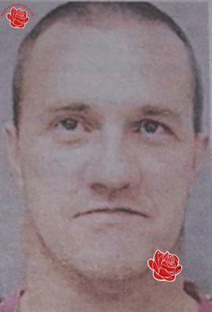 Profile image of Andrew Wilson