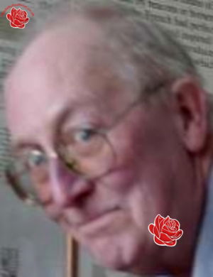 Profile image of David Mallinder
