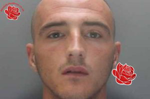 Profile image of Steven Jones
