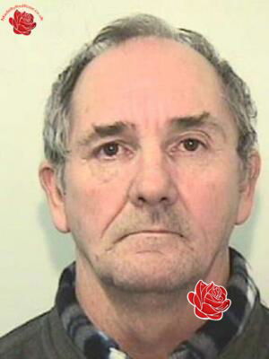 Profile image of David Thompson