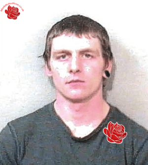 Profile image of David Thomas