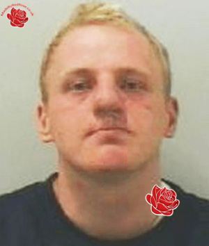 Profile image of Jeffrey Mills