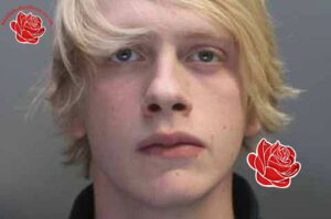 Profile image of Dewi Davies