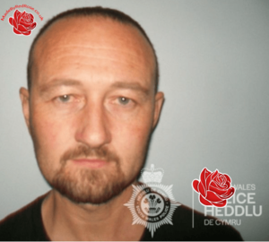 Profile image of Lee Mills