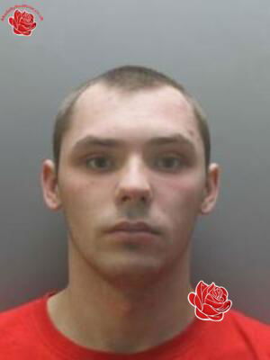 Profile image of Stephen Sumner