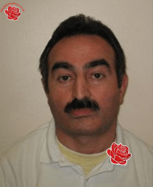 Profile image of Ali Tok