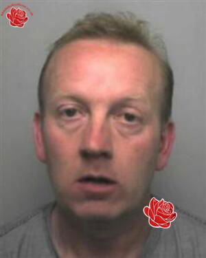 Profile image of Stephen Walker