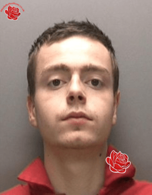 Profile image of Daniel Chipchase