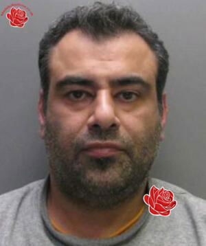Profile image of Eiraj Zarezadeh