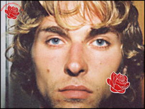 Profile image of Ross Hammond