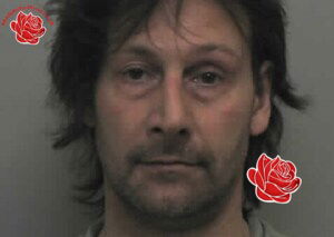 Profile image of Stewart Willmer