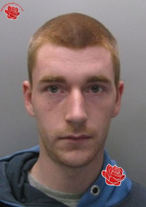 Profile image of Alistair Nicholls/Rebecca Flatley