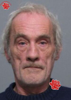 Profile image of Paul Davey