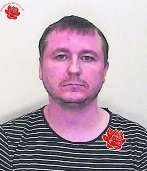 Profile image of Dmytro Shevchenko