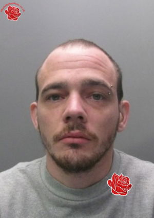 Profile image of Steven Goodwin