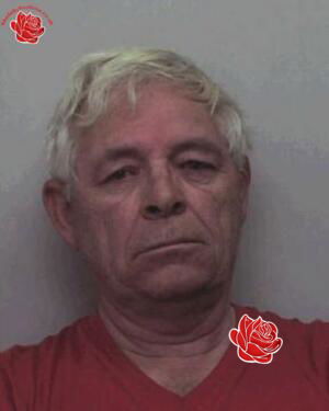 Profile image of Leslie Whittle