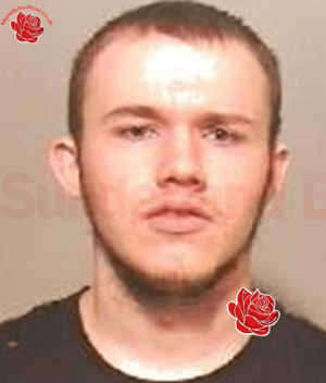 Profile image of Mark Forster